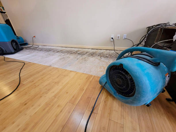 Professional Water Damage Repair technician working in Atlantic Beach, FL